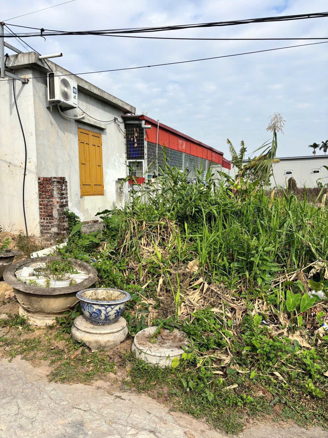 2DS90.5 🏡 CHÍNH CHỦ GỬI BÁN LÔ ĐẤT ĐẸP TẠI TỔ DÂN PHỐ QUANG TRUNG – MINH ĐỨC – NAM ĐỒ SƠN – HẢI PHÒNG 🏡