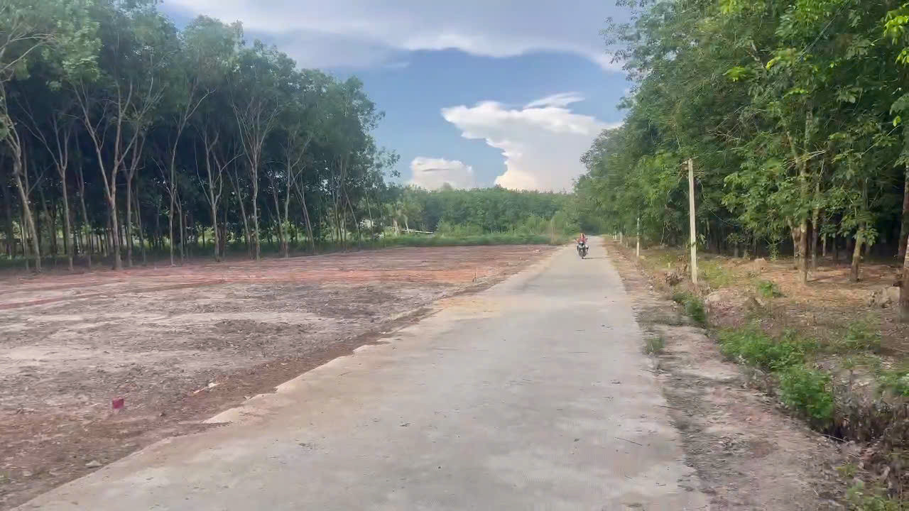 Bán Đất 100m² thổ cư 50m² giá 230 triệu tại Phường Minh Hưng Đồng Nai