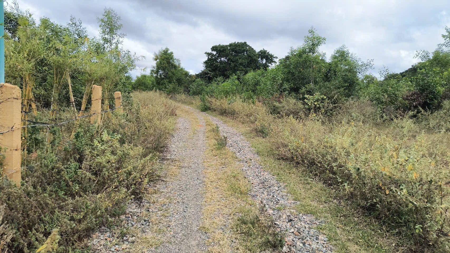 Bán đất 2000m² ngang 20m giá 6.2 tỷ tại Phường Mũi Né
