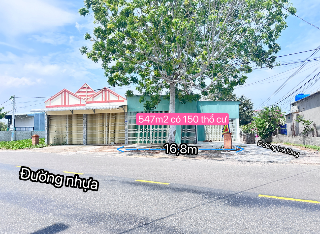 Bán nhà 547.5m² ,có 150 thổ cư 12 tỷ tại Phường Mũi Né Thành phố Phan Thiết