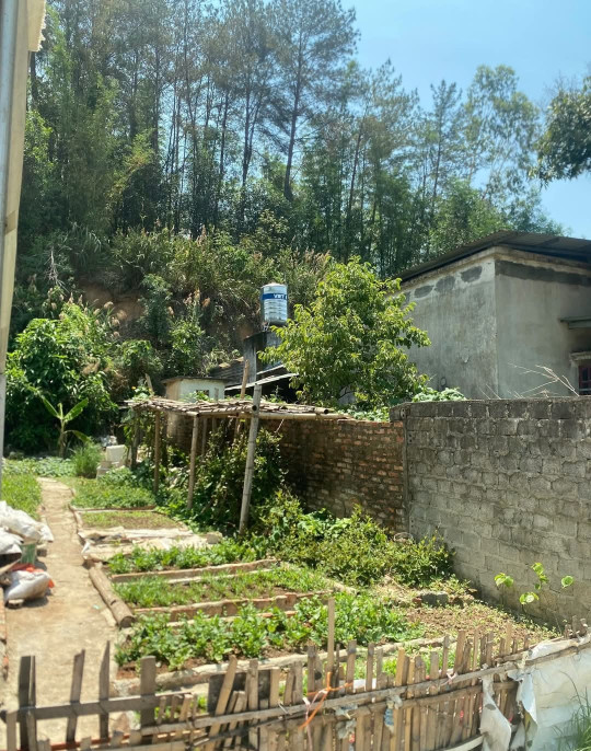 Mua bán đất Điện Biên