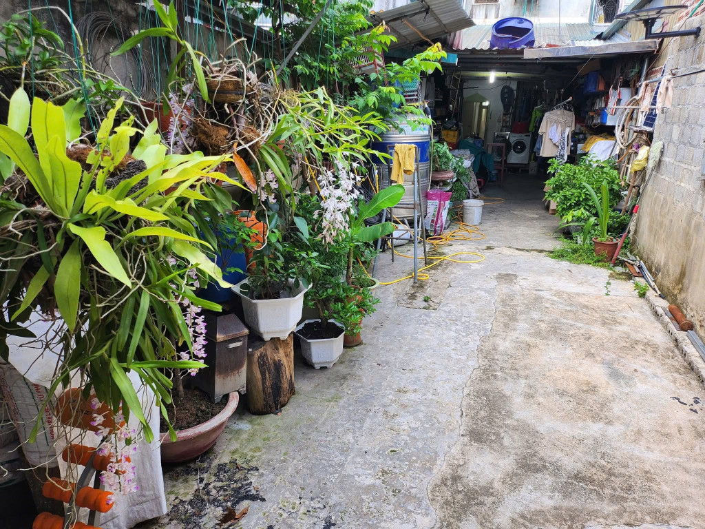 Bán đất