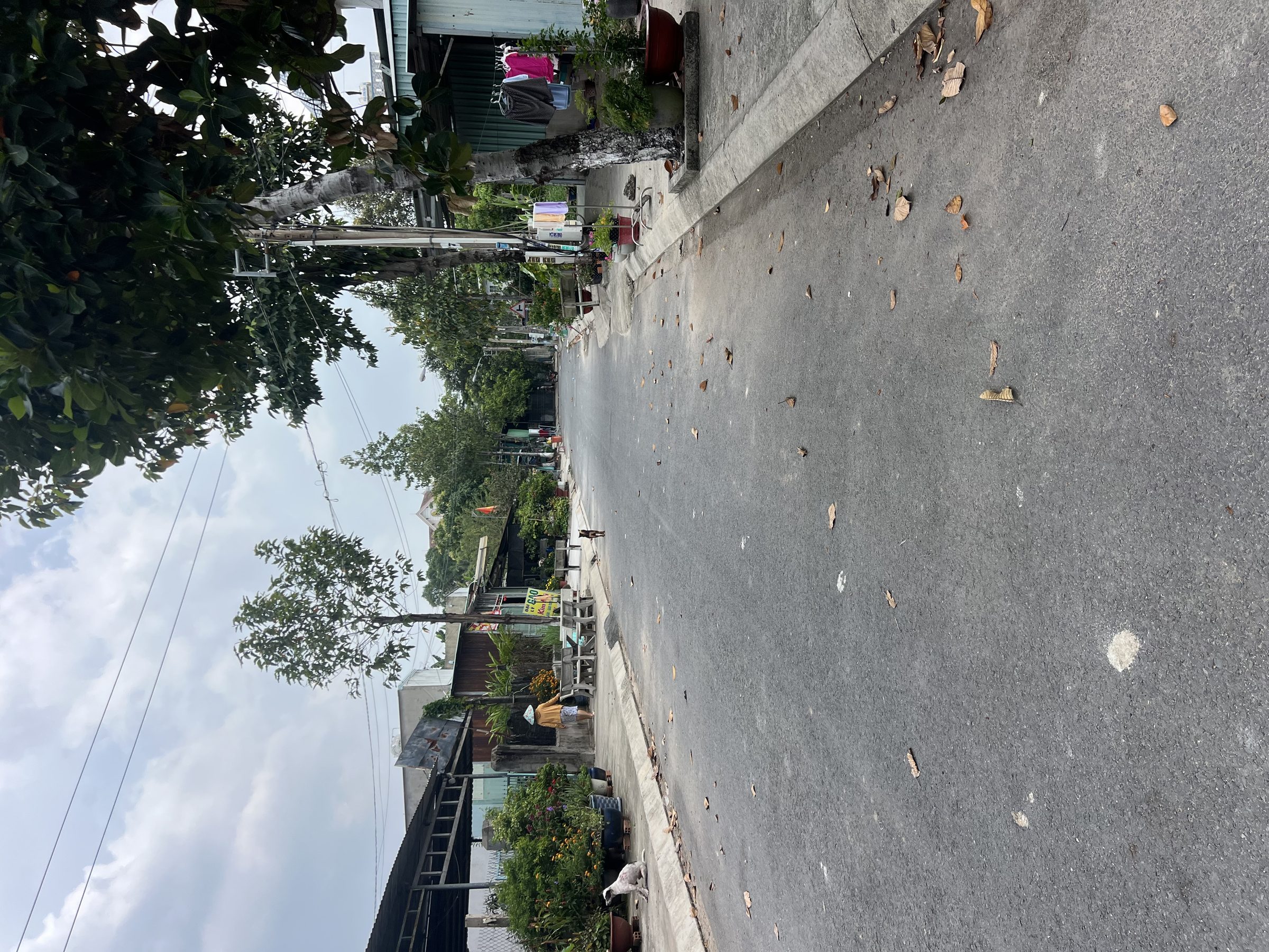 Bán đất tặng nhà cấp 4