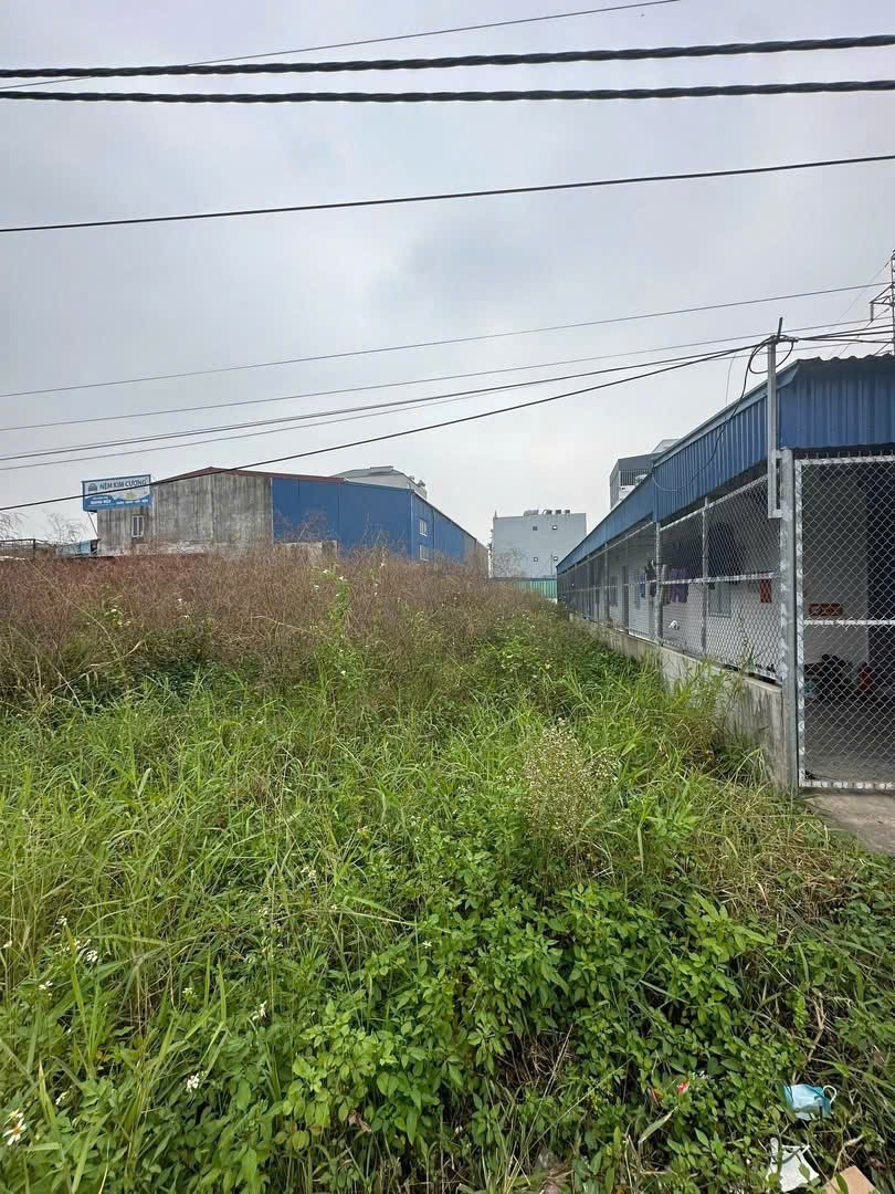 BÁN LÔ ĐẤT MẶT ĐƯỜNG TRUNG NGHĨA KÉO DÀI – SÁT ĐƯỜNG 403 - 150m² ngang 6m giá 6.25 tỷ Phường Nam Đồ Sơn