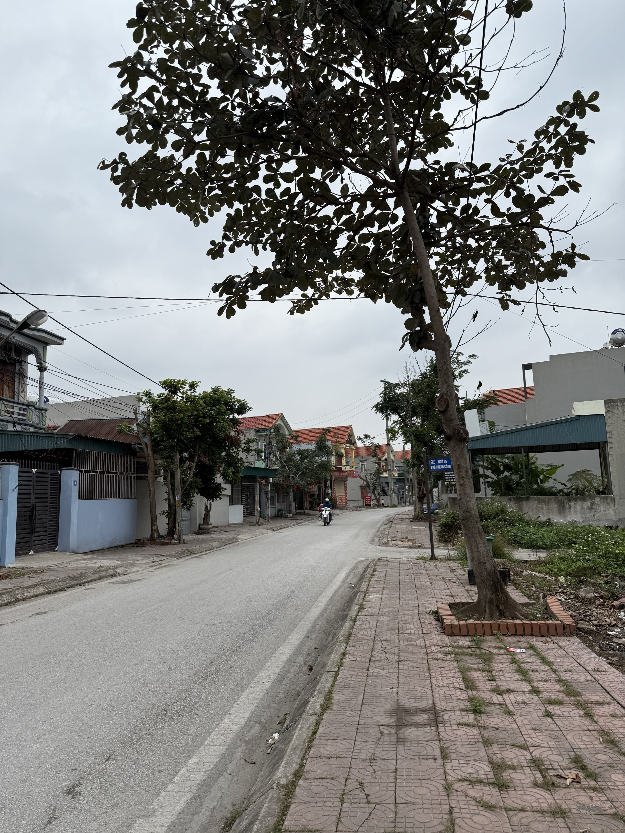 Trục chính Nam Hoà, Quảng Yên chỉ hơn 2 tỷ