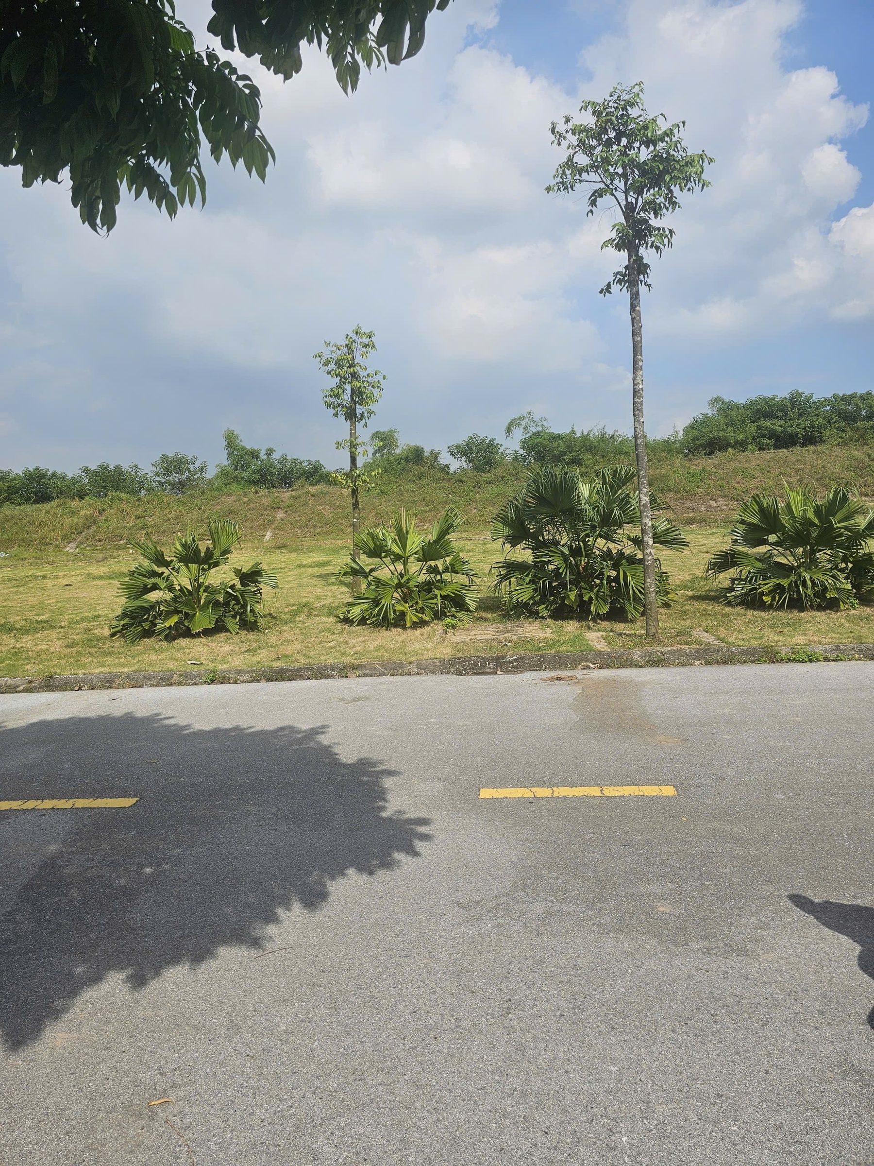 Bán Đất 65m² thổ cư 65m² giá 15.28 tỷ tại Phường Nhị Châu Thành phố Hải Dương Hải Dương