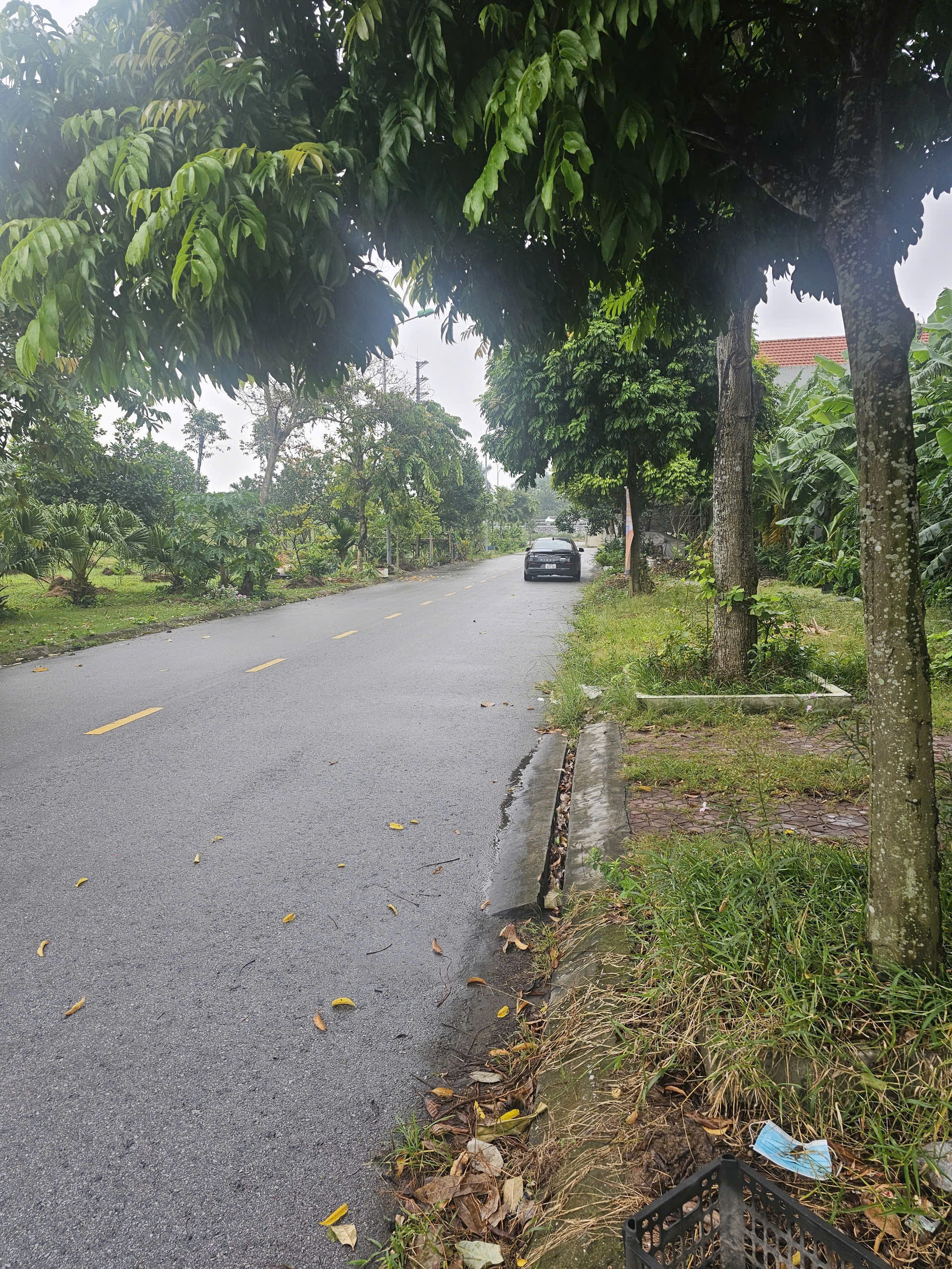 Bán đất nền khu đô thị phía Tây Cầu Phú Lương – khu dân cư văn minh, tiềm năng sinh lời cao.
Đ/C: Phường Nhị Châu, TP Hải Dương.