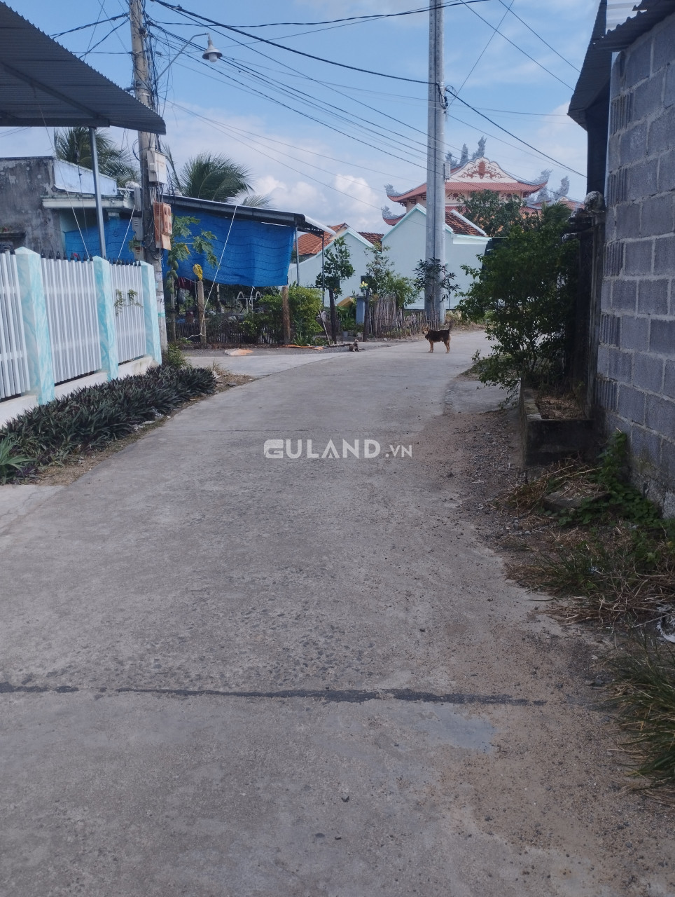 ĐẤT PHƯỜNG NINH GIANG CHỦ NỢ NGÂN HÀNG CẦN TIỀN GẤP TRẢ NỢ