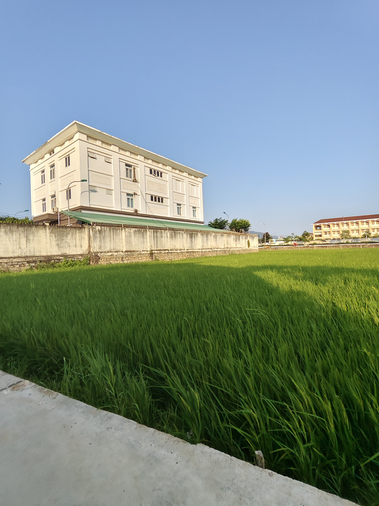 Bán đất 759m² tại Phường Ninh Hiệp Thị xã Ninh Hòa