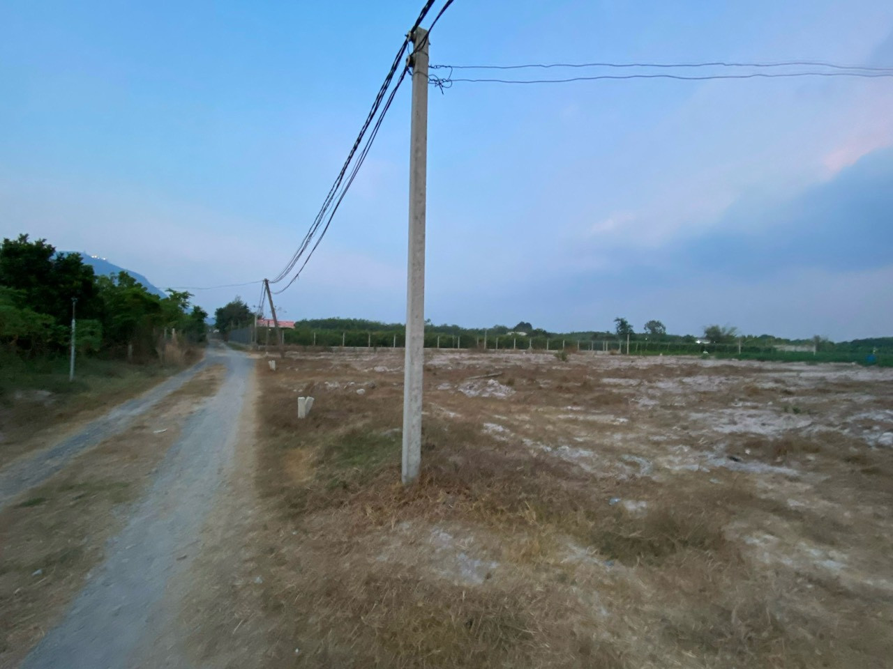 bán đất . diện tích 338 m2 . phường ninh thạnh . tp tây ninh