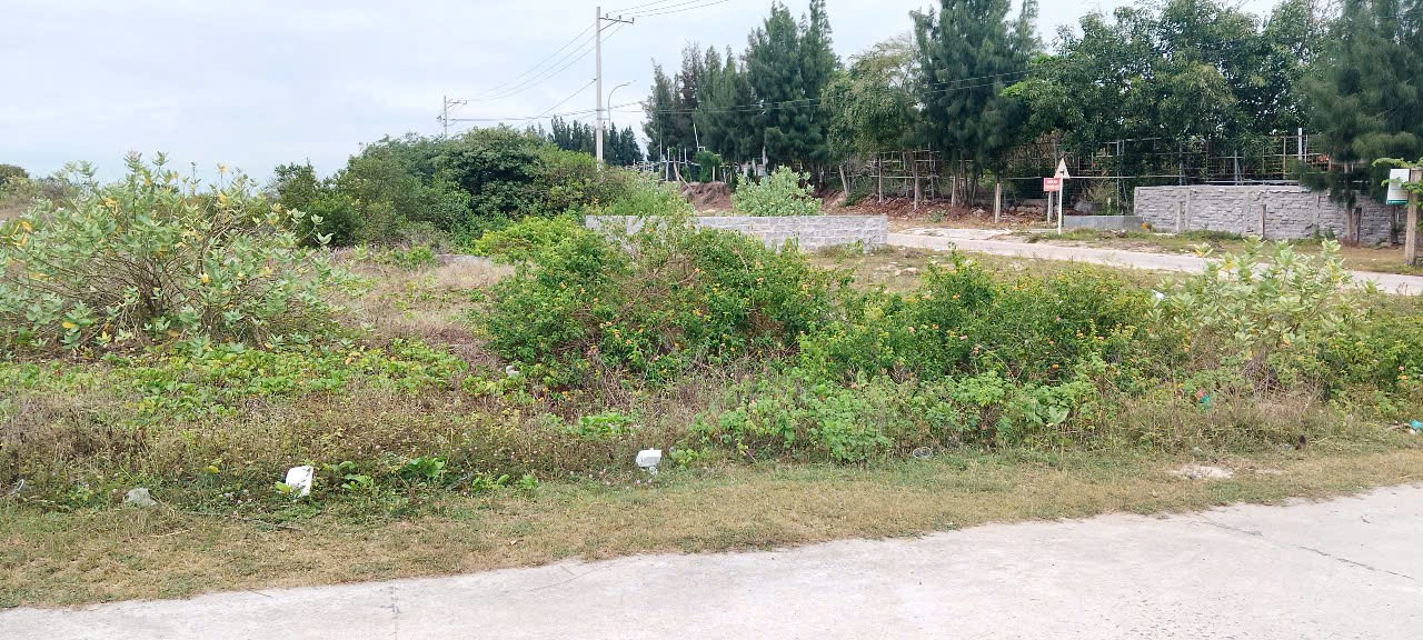 0938156791 Hiếu , Lô khu phân lô Bá Hà 2, tuyến 2 hướng đông. Diện tích : 160m(8x20), full thổ. Giá 45tr/m2 thương lượng .