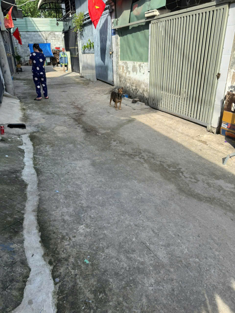 Đất khu 8 Phú Hoà