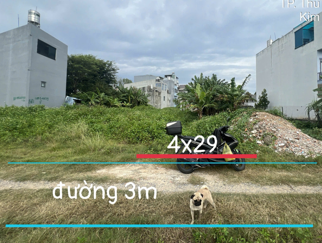Bán đất 115m² ngang 4m giá 1.8 tỷ Phường Phú Lợi 0815422197