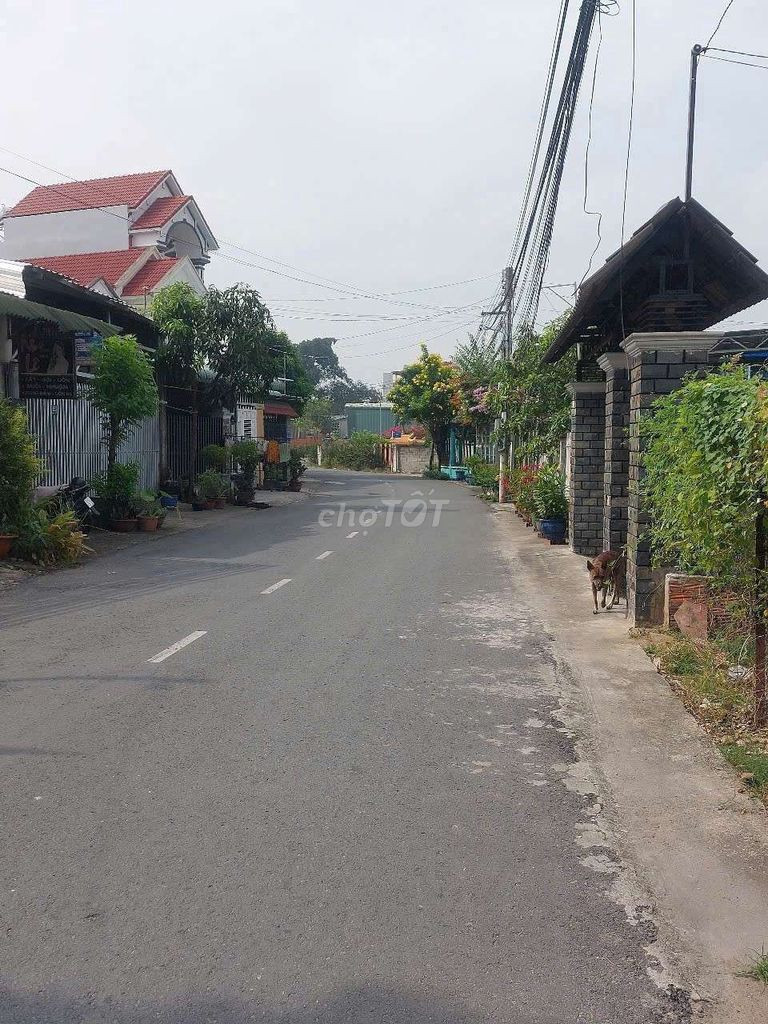 Đất phú lợi sec hẻm 288 huỳnh văn lũy cách ủy ban phường 500m.