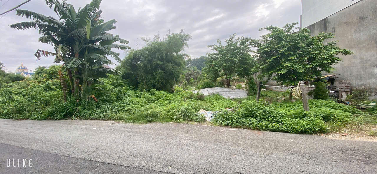 Bán đất 172.2m² ngang 6m giá 3.2 tỷ  Phường Phú Mỹ : 0815422197