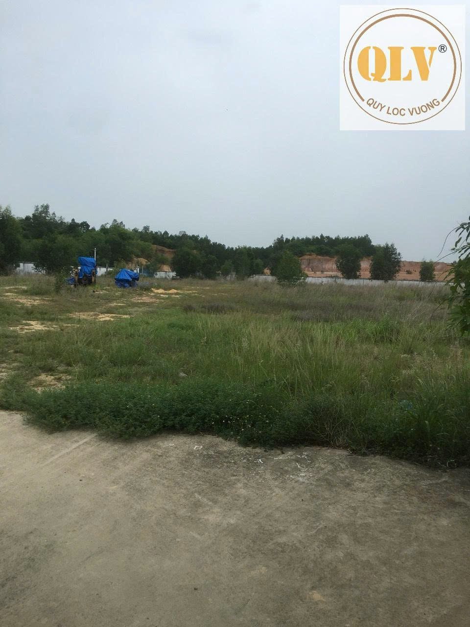 CHO THUÊ NHÀ XƯỞNG – TÂN THÀNH, BRVT – 17.400 m²