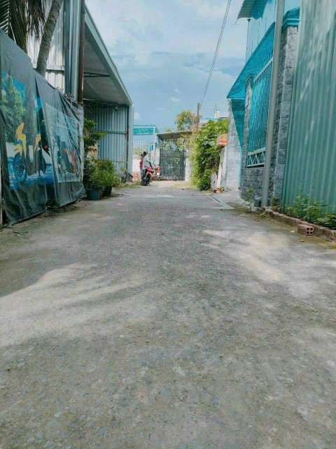 Đất phú mỹ
