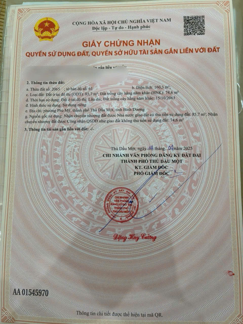 Bán đất đường nhựa 6m DX 08 diện tích 161.3m² giá 3.1 tỷ tại Phường Phú Mỹ Thành phố Thủ Dầu Một