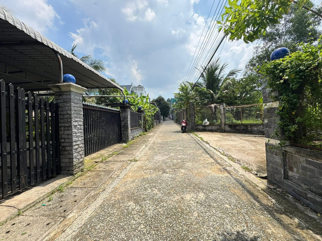 ĐẤT ĐẸP PHÚ THỌ : 8,1 x 15 thổ cư, đường ô tô: 0815422197
