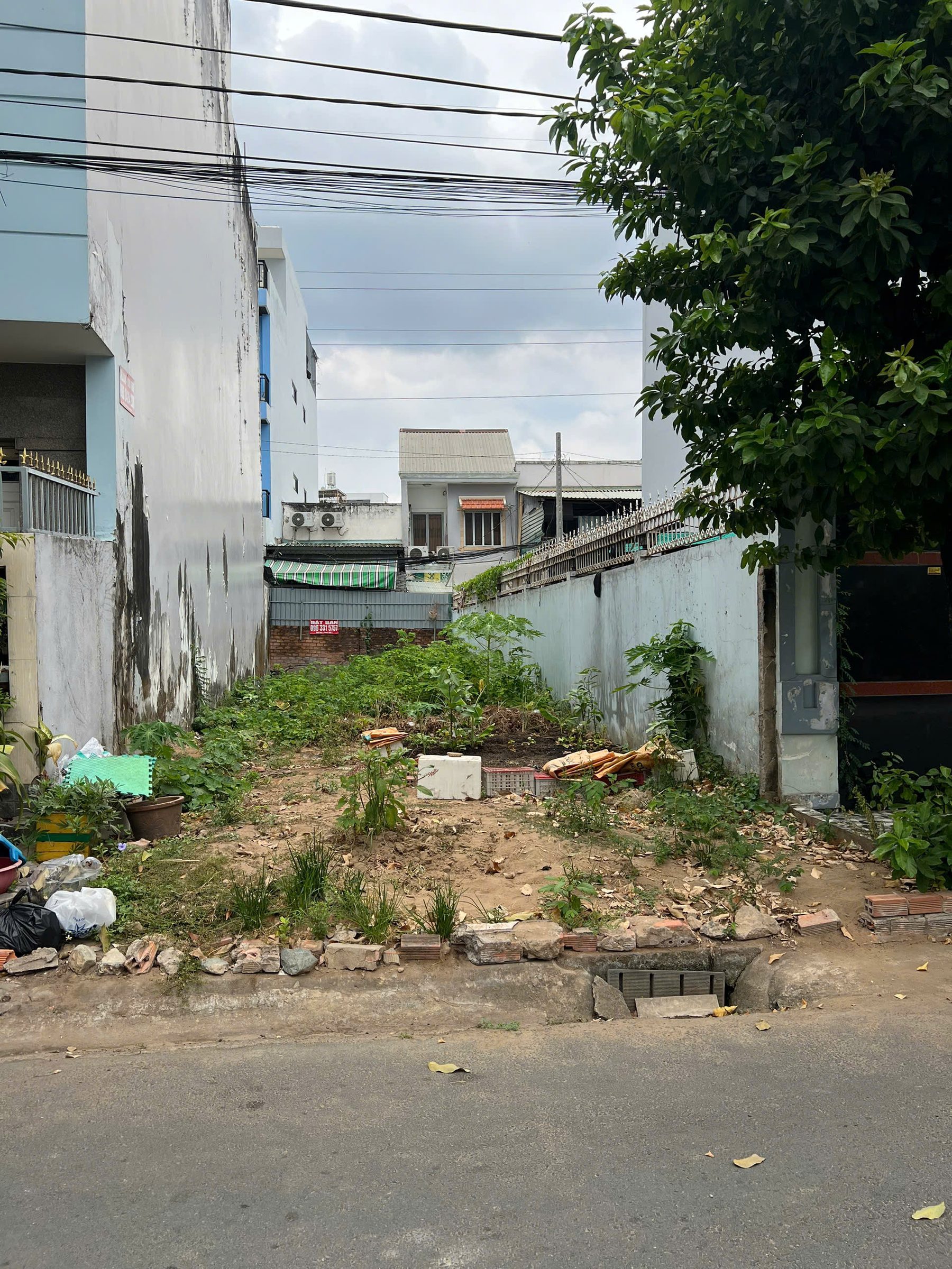 Hình 3