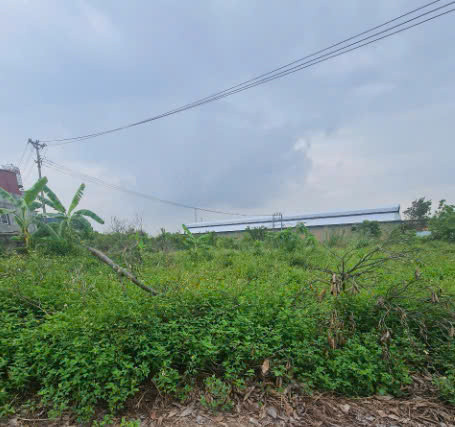 A311 - Tân Lập 2 - Phương Đông - Uông Bí - Quảng Ninh
