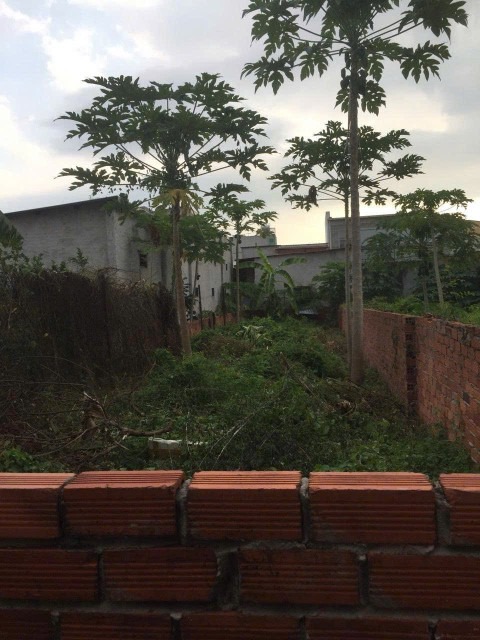 Bán đất 126m² ngang 4,2m giá 3.8 tỷ Phường Rạch Dừa