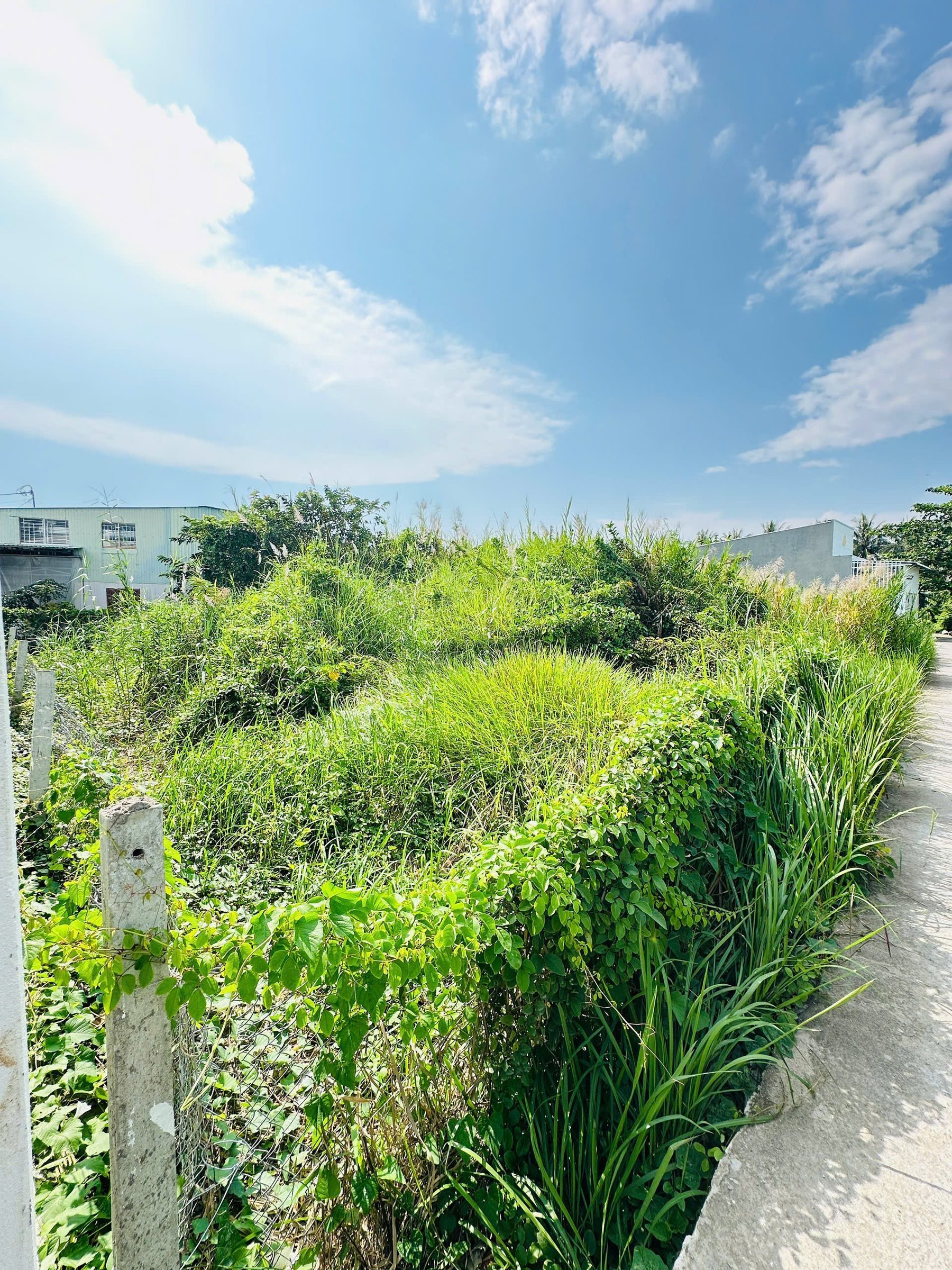 Bán, Đất, 174m², thổ cư 475m², giá 950 triệu, tại Phường Rạch Giá, An Giang