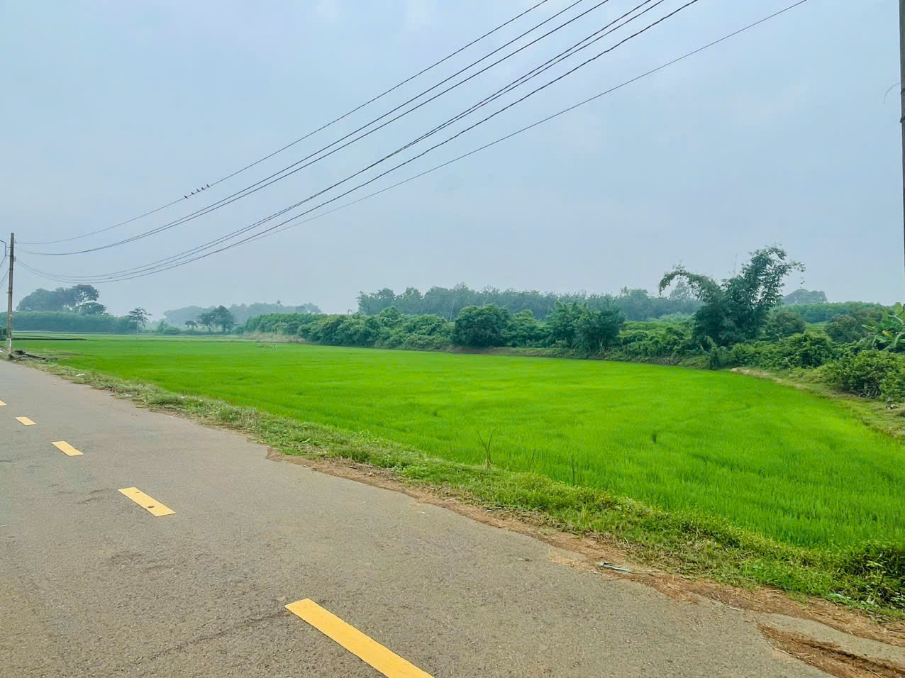 Bán đất 2868.8m² ngang 50m giá 7.2 tỷ Phường Tam Long