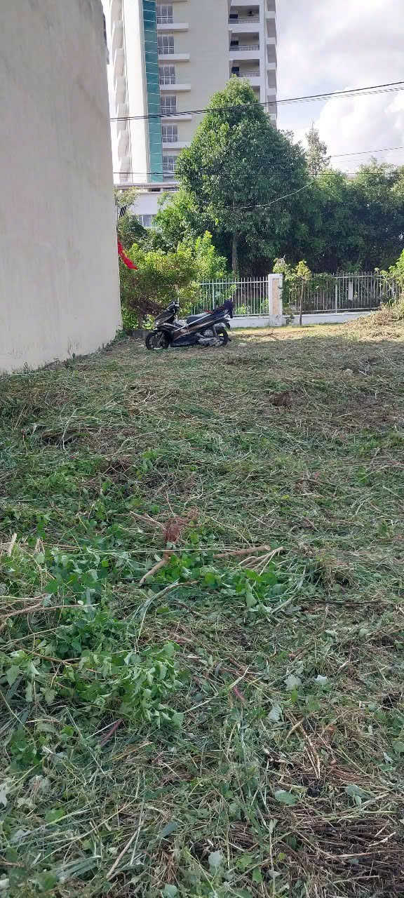 🔥 CHÍNH CHỦ BÁN GẤP Phường Tam Long, TP. Hồ Chí Minh 🔥