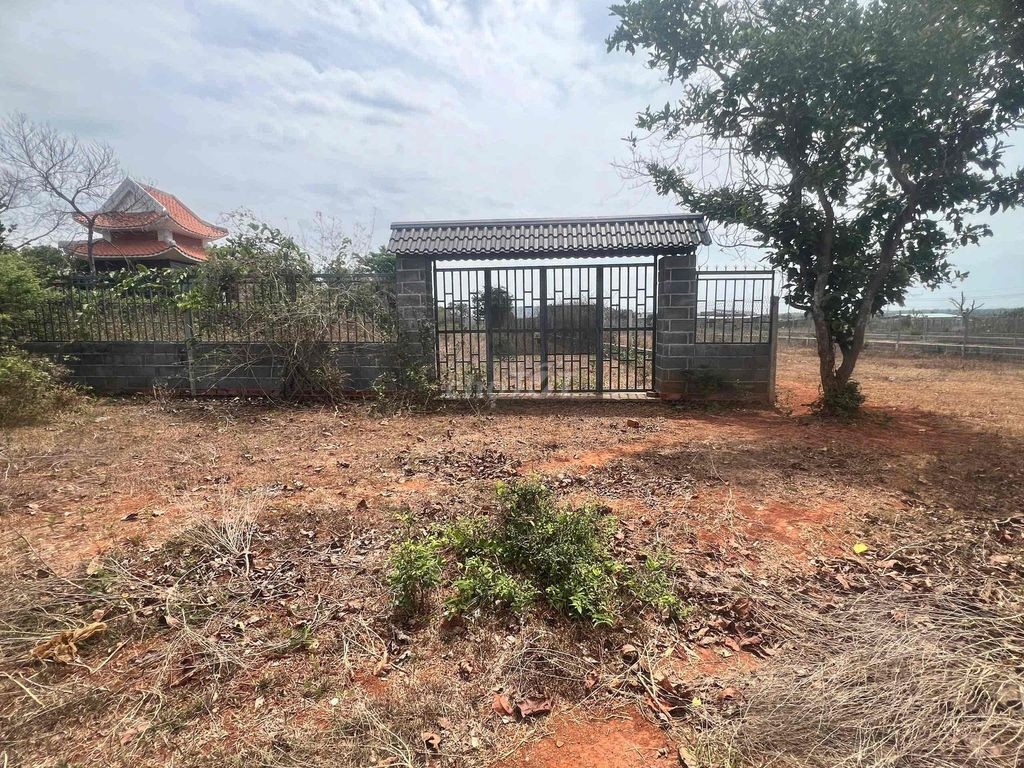 Bán đất 1012m² ngang 14.2m giá 5.6 tỷ Phường Tam Long