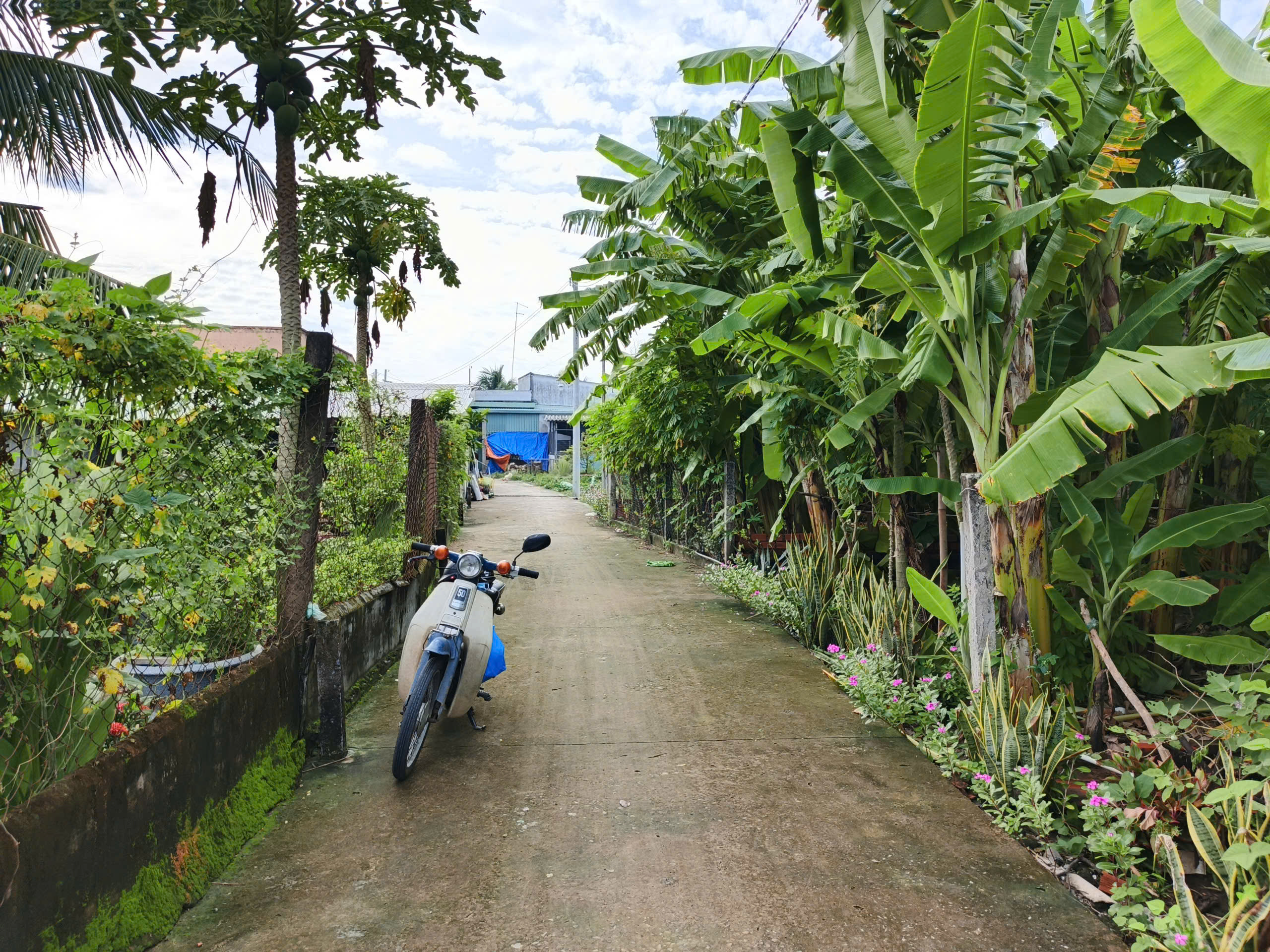Bán đất 249.8m² full thổ cư ngang 6m giá 1.53 tỷ tại Phường Tân An