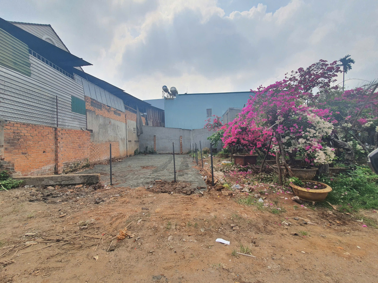 Bán đất Tô Hiệu 70.6m² 4.1 tỷ tại Phường Tân An Thành phố Buôn Ma Thuột