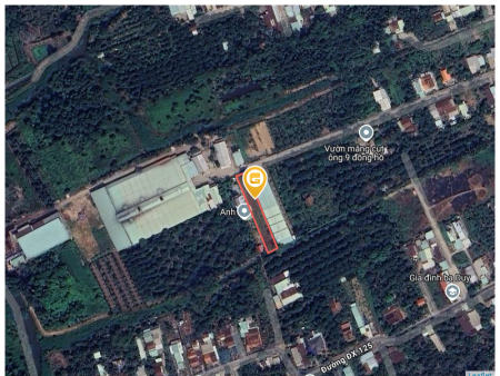 Bán đất 773.5m² 4.5 tỷ tại Phường Tân An Thành phố Thủ Dầu Một