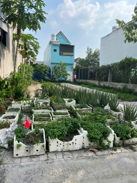 CHÍNH CHỦ CẦN BÁN ĐẤT  tái định cư Tân biên gần nhà thờ Hà Phát-Phường Tân Biên- Thành phố Biên Hòa -Tỉnh  Đồng Nai