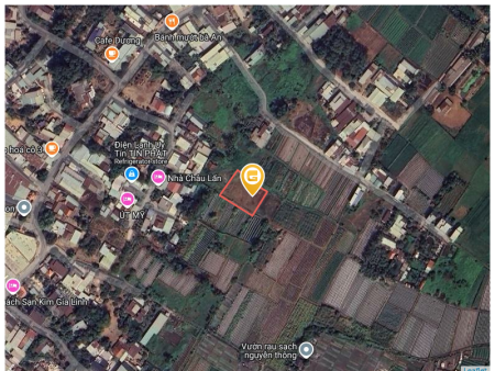 Bán đất 969.1m² tại Phường Tân Bình Thị xã Dĩ An