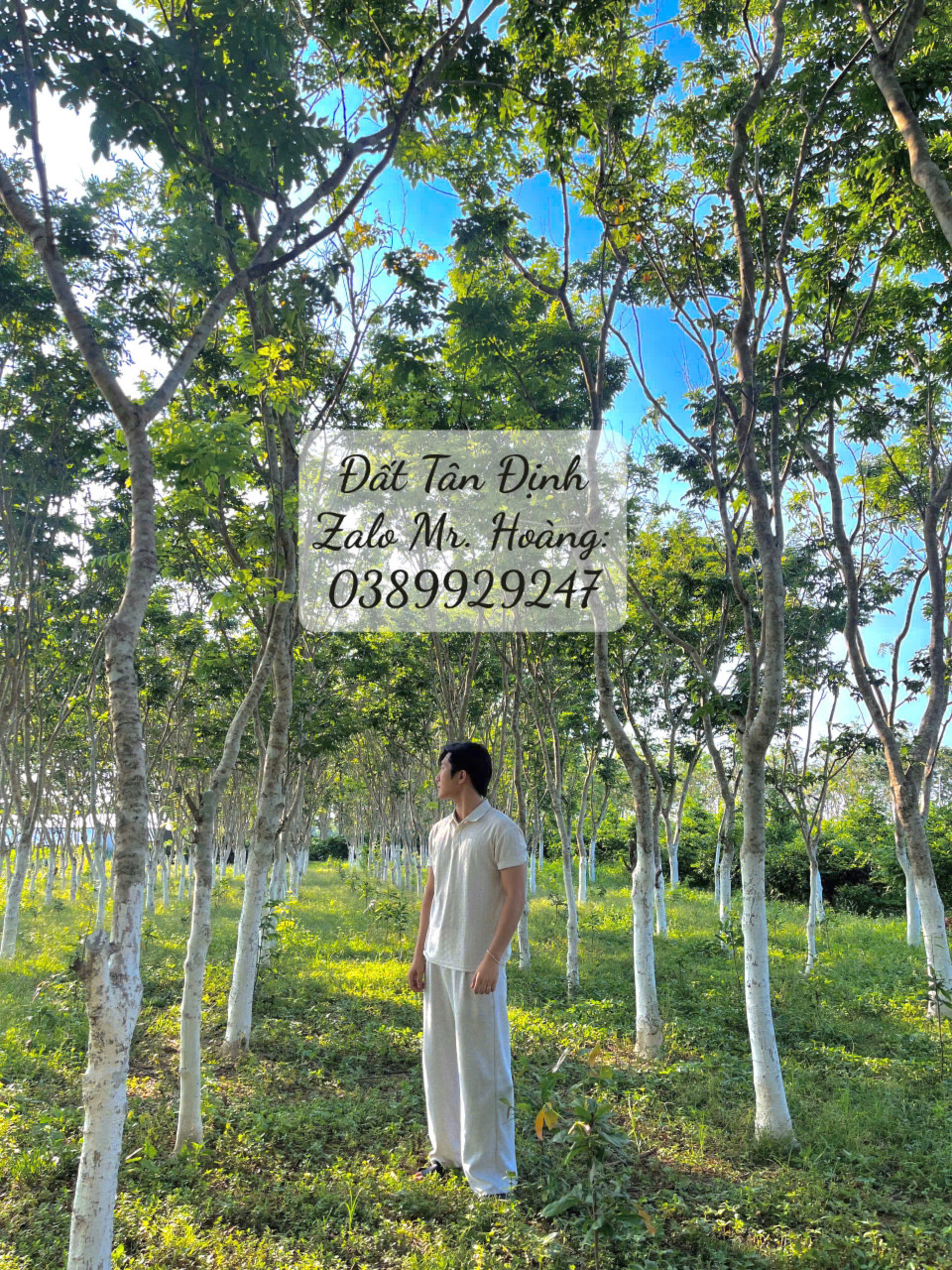 Tài chính 1T đầu tư vào đâu đây ?