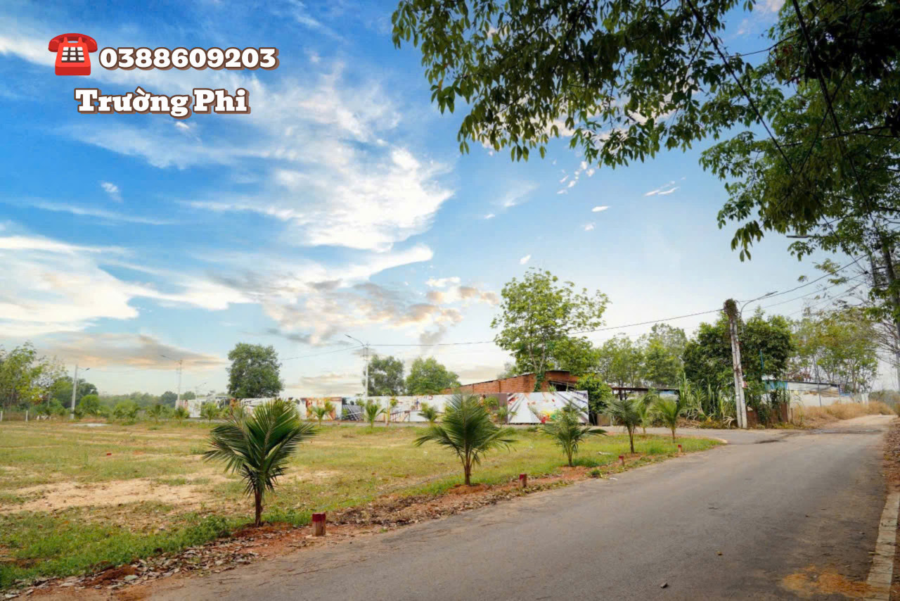 Mua đất Bình Dương ngay trước thềm sáp nhập với Sài Gòn