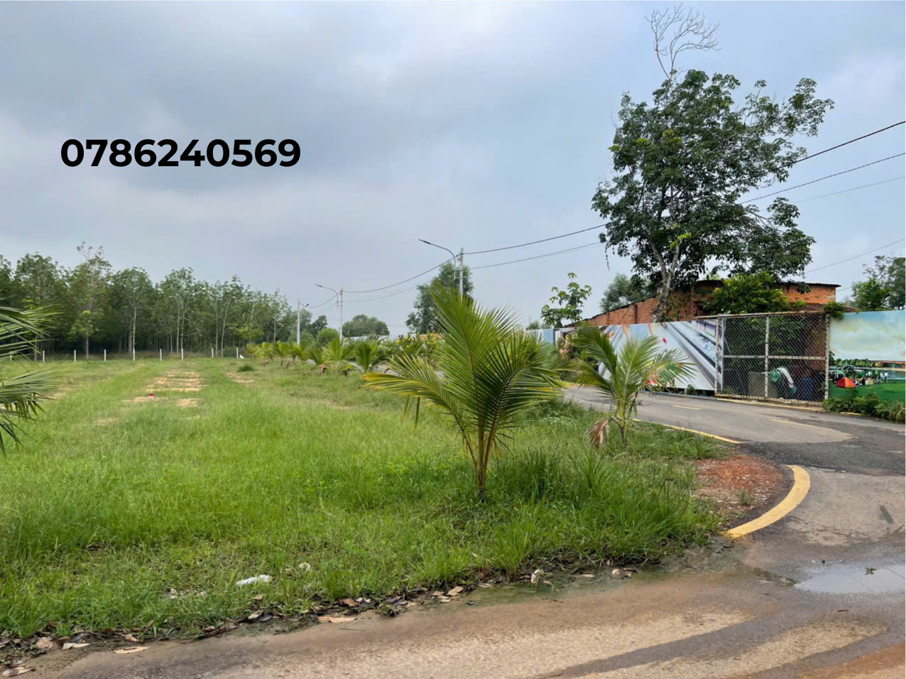 Bán đất Tân Định Bến Cát giá rẻ – Sổ riêng – Đường nhựa 10m