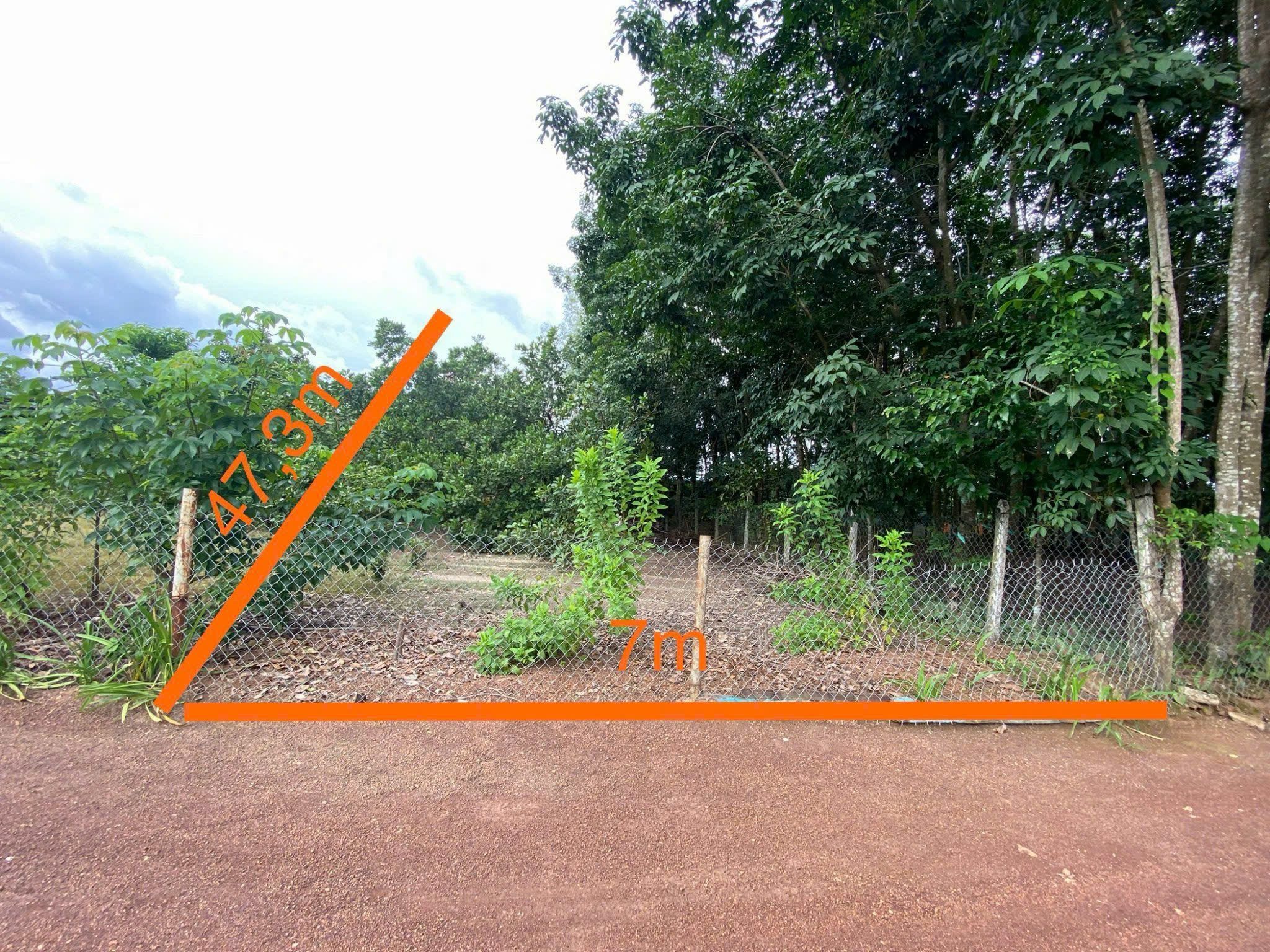 Bán Đất 329m2 thổ cư 50m² tại Phường Tân Đồng Thành phố Đồng Xoài Bình Phước