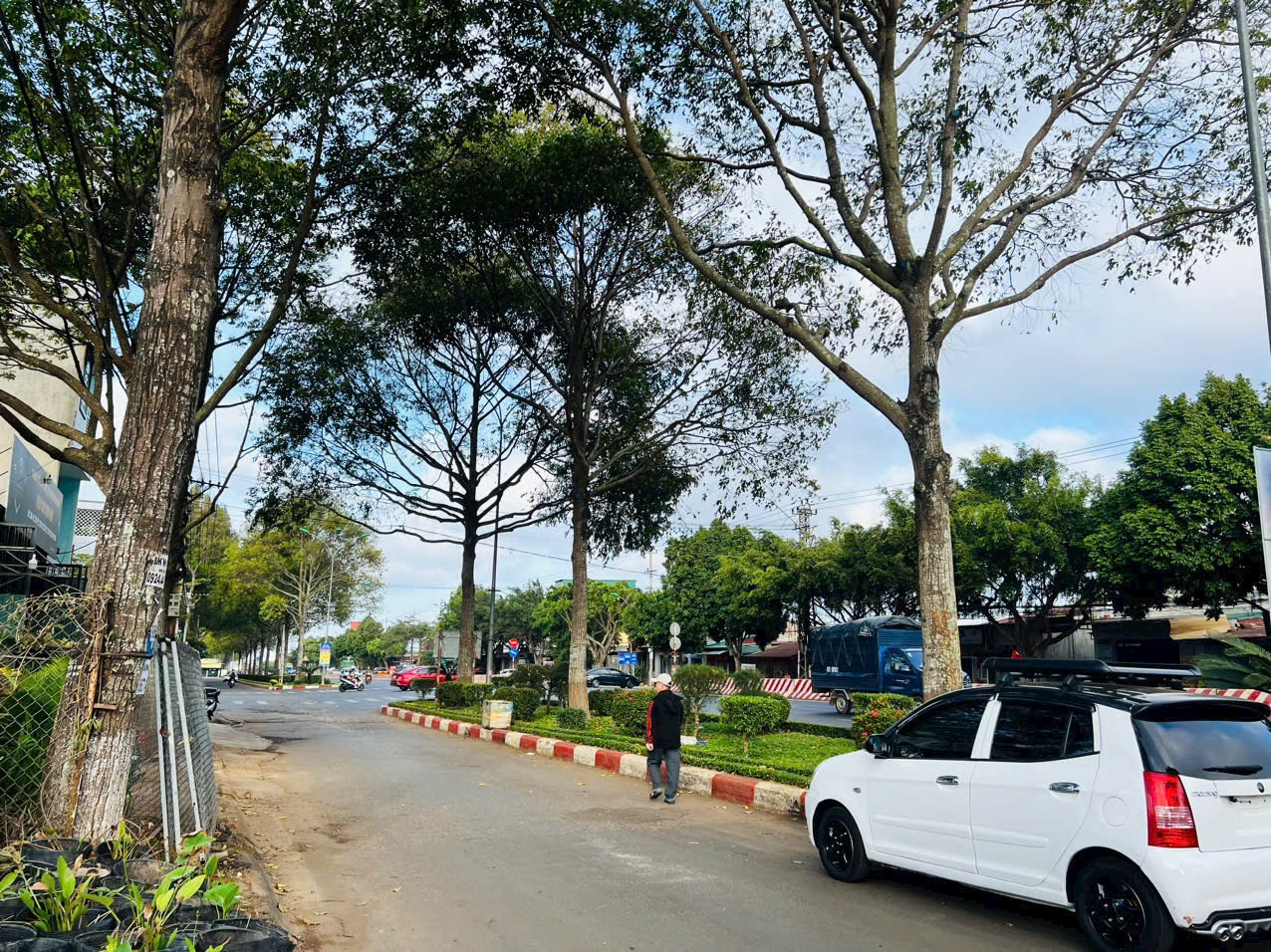 ĐẤT PHẠM VĂN ĐỒNG - TÂN PHONG