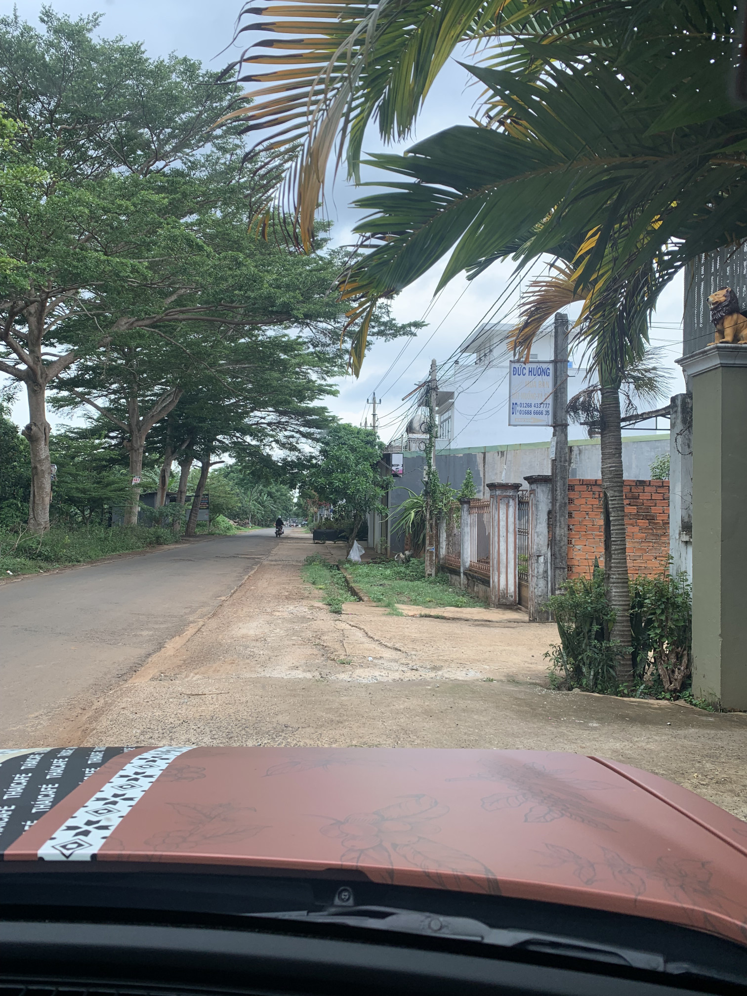 Bán đất 142.7m² ngang 5m giá 3 tỷ tại Phường Tân Hòa Thành phố Buôn Ma Thuột
