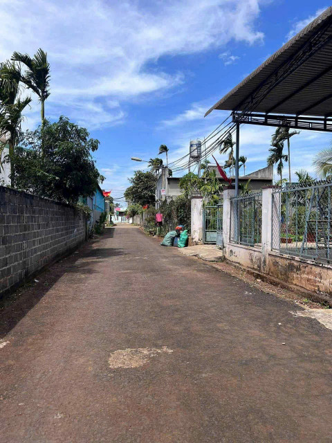 Đất hẻm Trần Kiên 128.9m² ngang 5m giá 1.69 tỷ tại Phường Tân Hòa Thành phố Buôn Ma Thuột