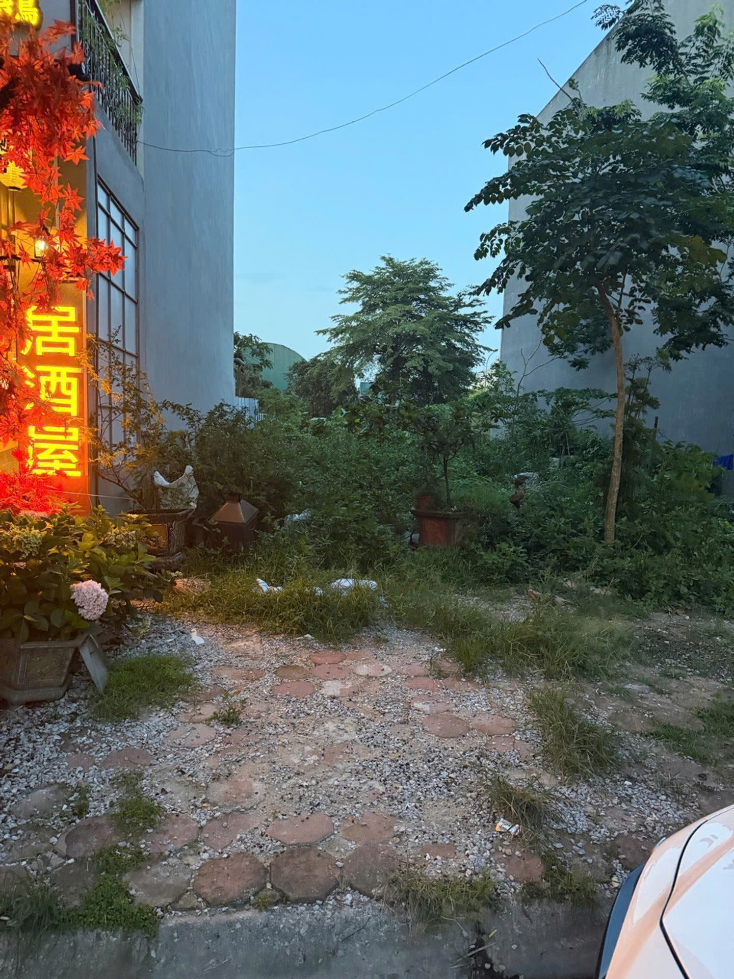 🔥 SIÊU PHẨM ĐẤT VÀNG PHÚ ĐIỀN - TỪ SƠN: 100M² KHUÔN ĐẸP 5x20M - CÁCH MẶT PHỐ LÊ QUANG ĐẠO ĐÚNG 30M! 🔥