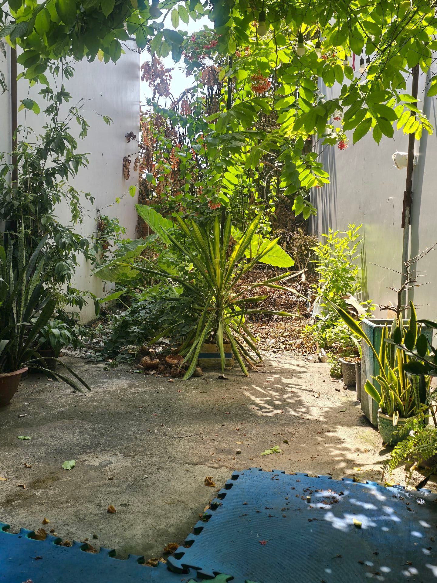 BÁN ĐẤT LÊ VĂN LƯƠNG, 48M², HẺM RỘNG 3.5M, SỔ ĐỎ, GIÁ RẺ