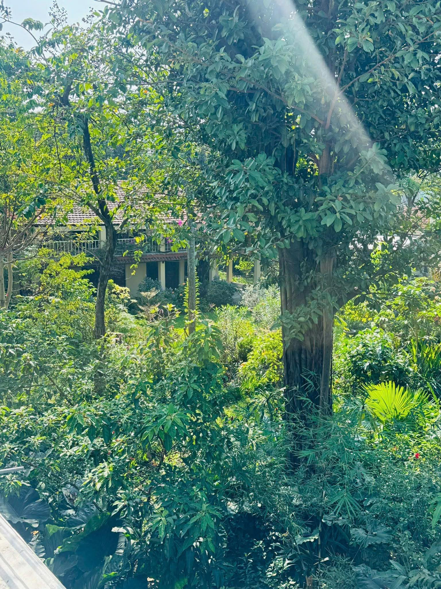 1/ Nguyễn Văn Quá - 44m2 - 2 tầng