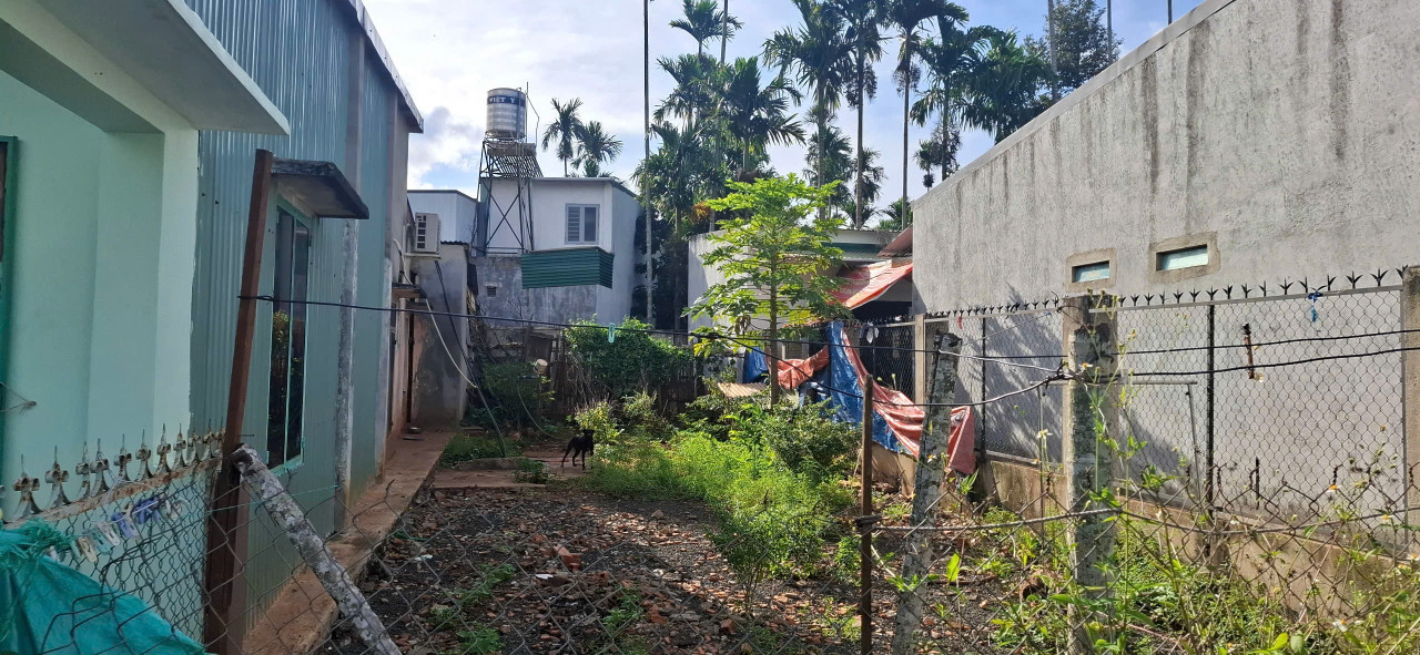 Bán đất 172.5m² ngang 5m giá 1.4 tỷ Phường Tân Lập