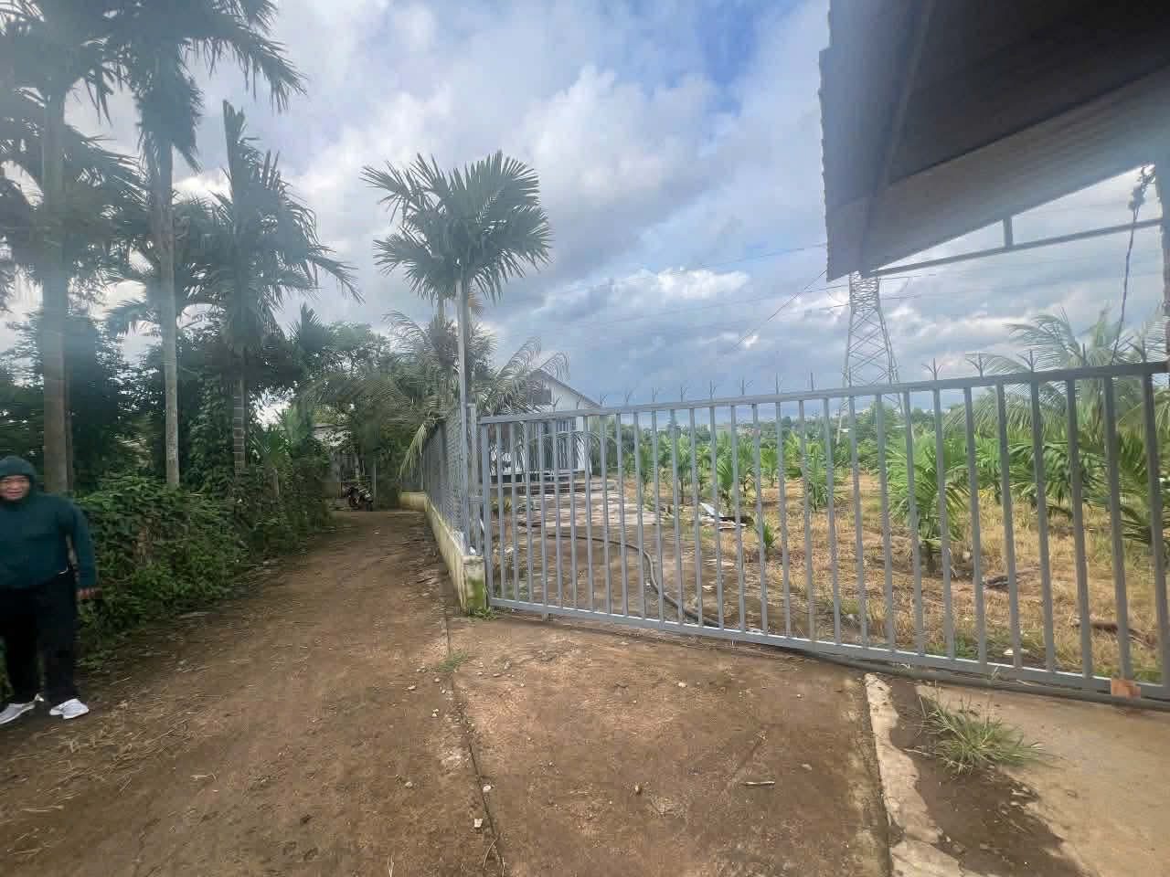Bán đất 500m² ngang 20m giá 1.05 tỷ tại Phường Tân Lập