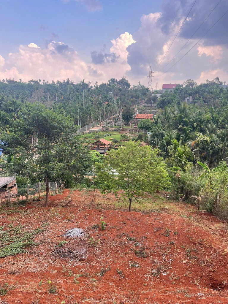 Bán đất 729.2m² ngang 20m giá 4.2 tỷ Phường Tân Lập