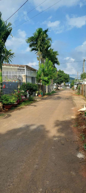 Bán đất 149.8m² ngang 5m giá 1.48 tỷ Phường Tân Lập