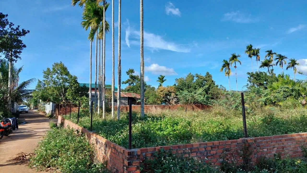 Bán đất 145m² có sẵn 60m² thổ cư ngang 6m giá 1.45 tỷ tại Phường Tân Lập
